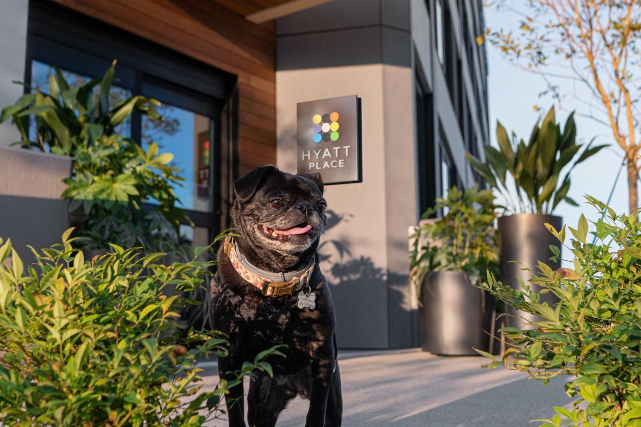 Hyatt Place Atlanta/Perimeter Center Sandy Springs Exterior foto